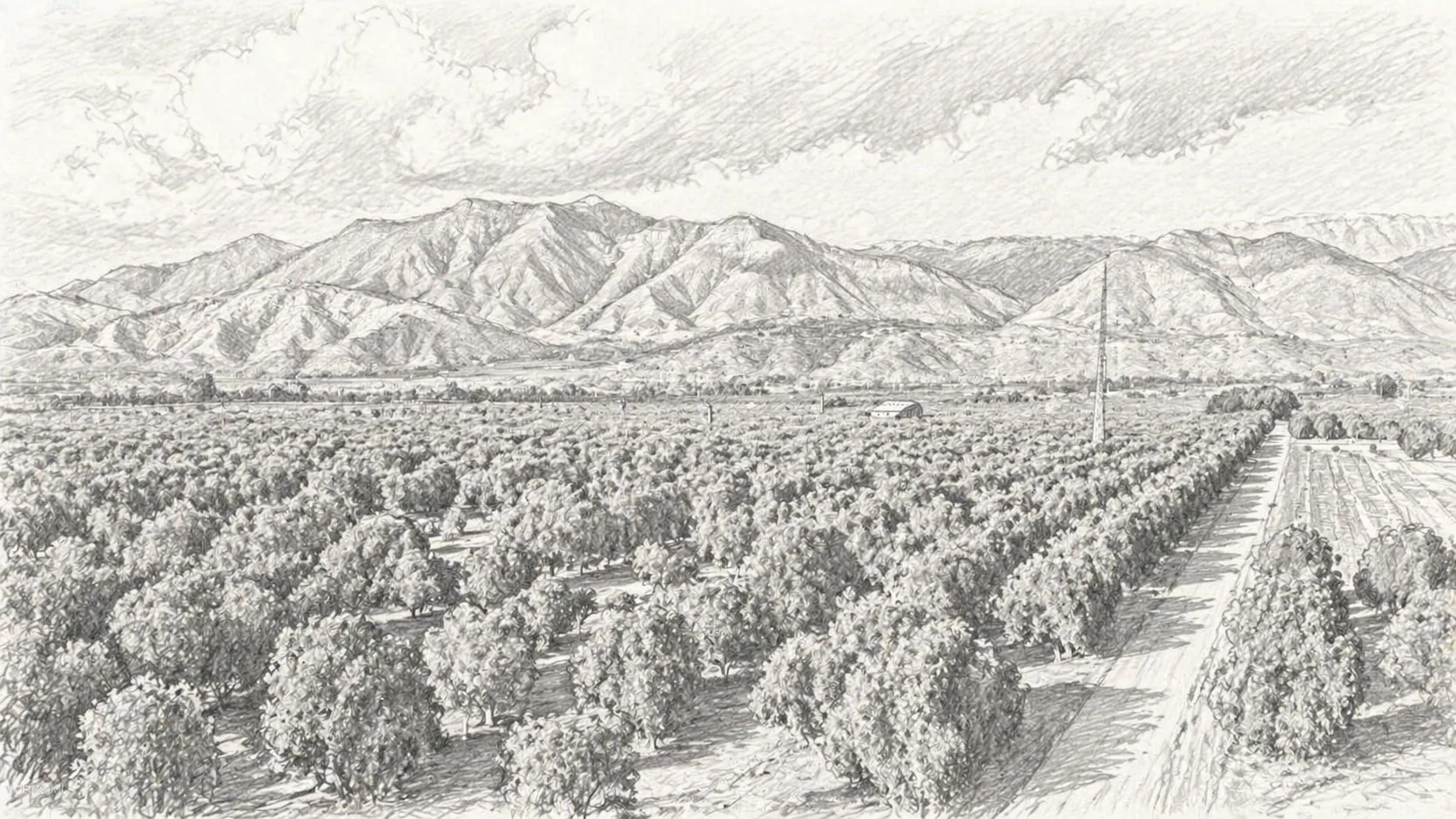 Ojai orchard with surrounding mountains
